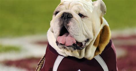 The Influence of Mississippi State's Mascot on Recruitment: How Bulldog Pride Attracts Athletes